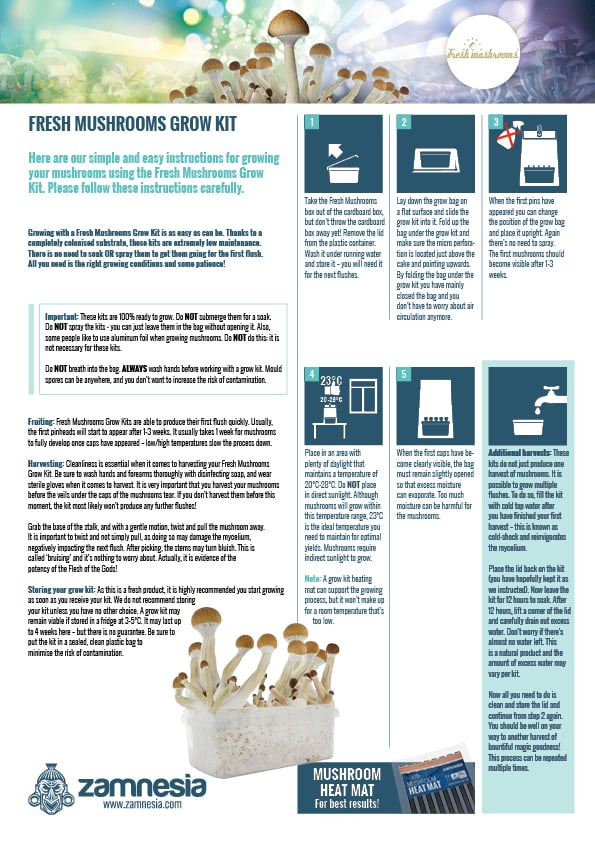 User Instructions Magic Mushroom Grow Kits Zamnesia Zamnesia